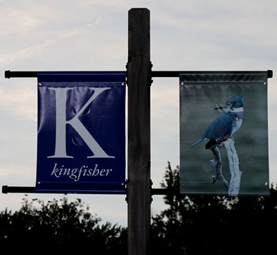 Photo of a kingfisher bird near an actual bird
