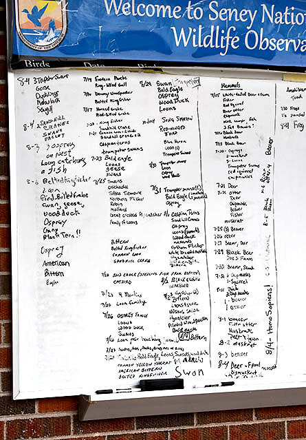 Seney bulletin board showing recent wildlife sightings