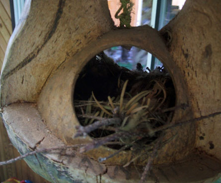 Bird house built inside a huge bird feeder