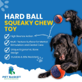Hard Ball Squeaky Chew Toy for Dog thumbnail 4