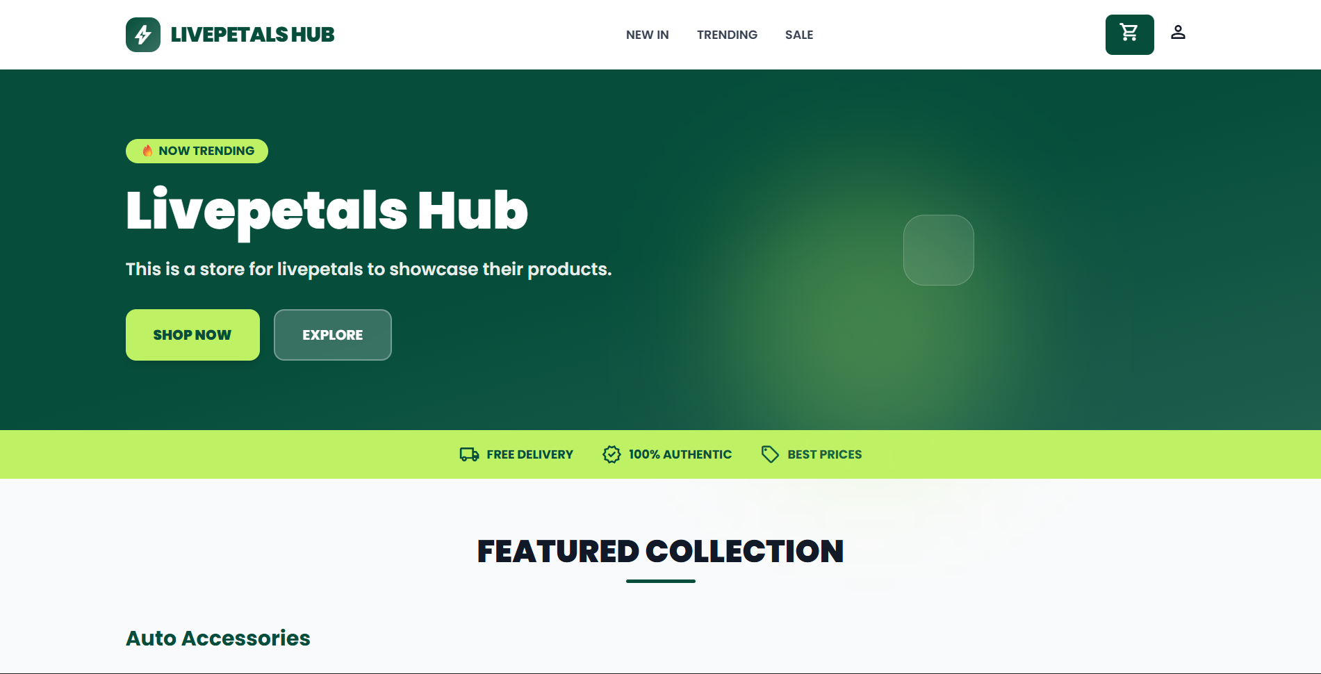 Bold Modern Template