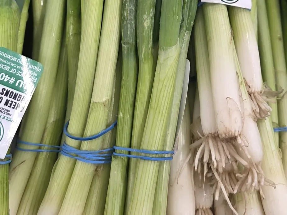 Green Onion