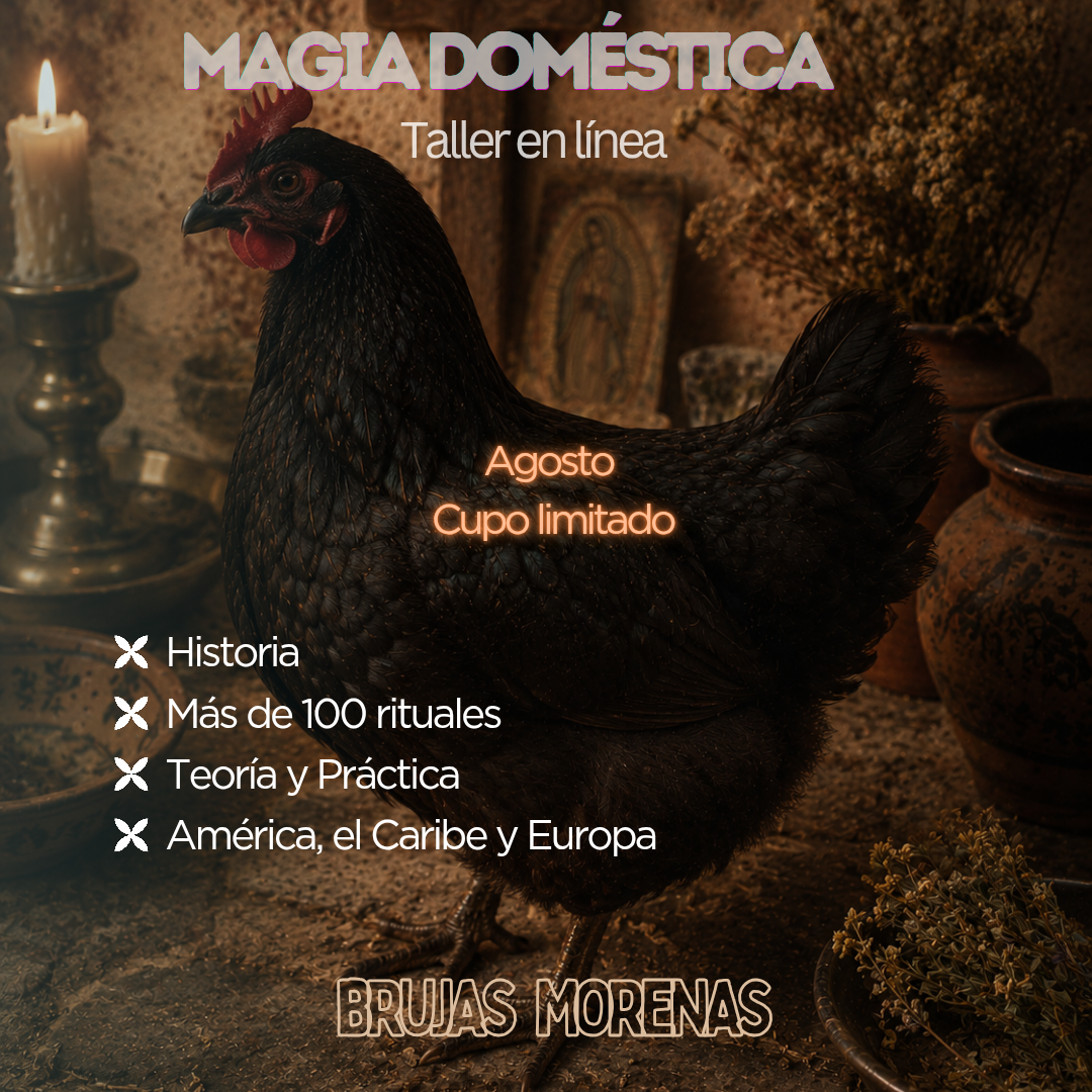 Magia Doméstica