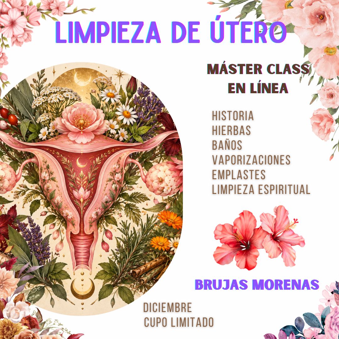 CLASE MAESTRA LIMPIEZA DE ÚTERO