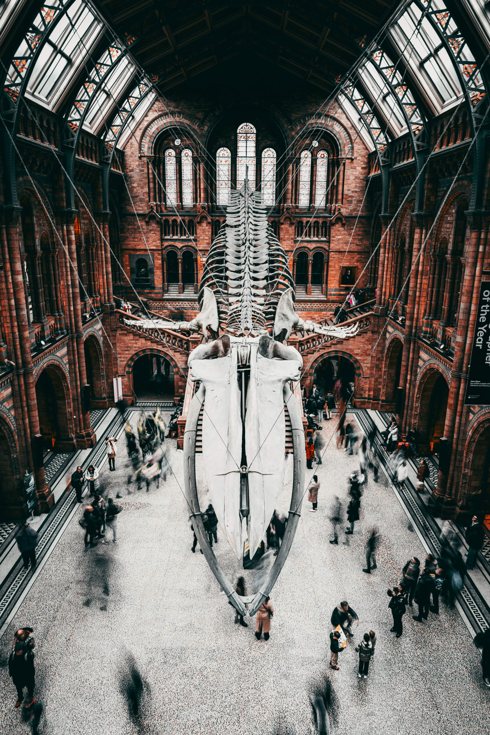 Natural History Museum, London
