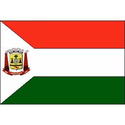 Bandeira de Várzea Grande