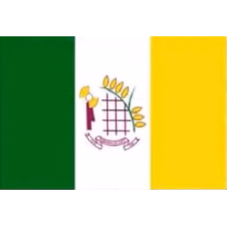 Bandeira de Primavera do Leste