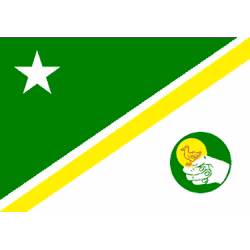 Bandeira de Pato Branco