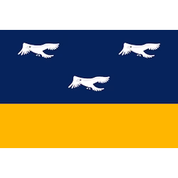 Bandeira de Arapongas
