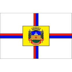 Bandeira de Apucarana