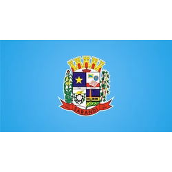 Bandeira de Sarandi