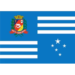 Bandeira de Assis
