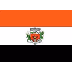 SEO em Presidente Prudente - SP
