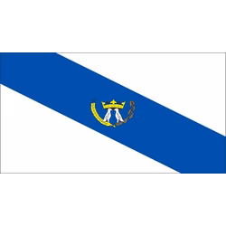 Bandeira de Ponta Grossa