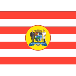 Bandeira de Blumenau