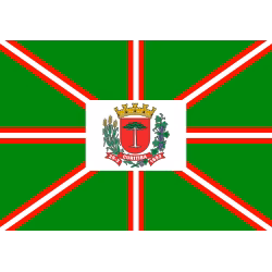 Bandeira de Curitiba