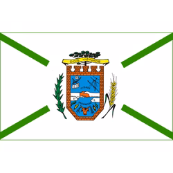 Bandeira de Dois Vizinhos