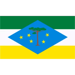 Bandeira de Laranjeiras do Sul