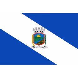 Bandeira de Ribeirão do Pinhal