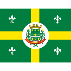Bandeira de Arapoti