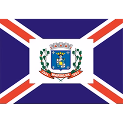 Bandeira de Marialva