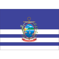 Bandeira de Antonina