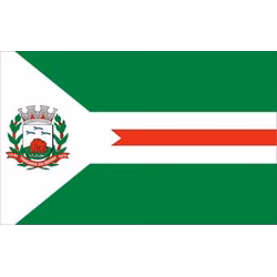 Bandeira de Tangará da Serra