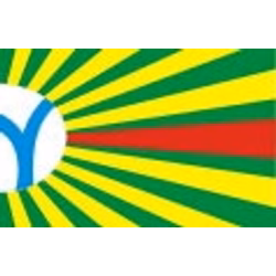 Bandeira de Barra do Garças