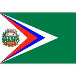 Bandeira de Juara