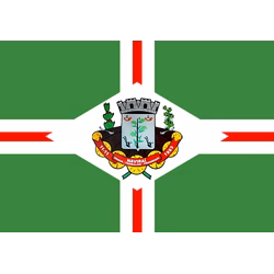 Bandeira de Naviraí