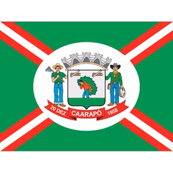 Bandeira de Caarapó