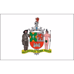 Bandeira de São Bernardo do Campo