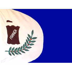 Bandeira de Franca