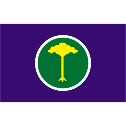 Bandeira de São Carlos