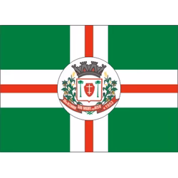 Bandeira de São Miguel do Oeste