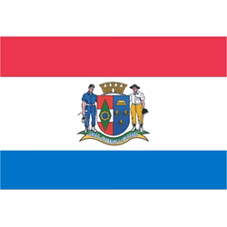 Bandeira de Orleans