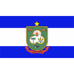 Bandeira de Campos Novos