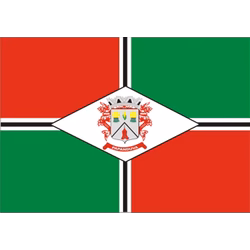 Bandeira de Papanduva