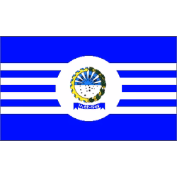 Bandeira de Capinzal