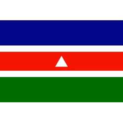 Bandeira de Juiz de Fora