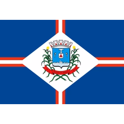 Bandeira de Patos de Minas