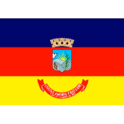 Bandeira de Teófilo Otoni