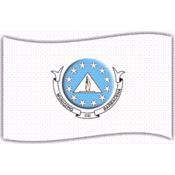 Bandeira de Barbacena