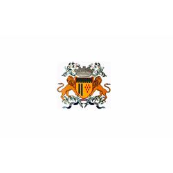 Bandeira de Caxias do Sul