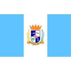 Bandeira de Pelotas