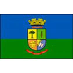 Bandeira de Passo Fundo
