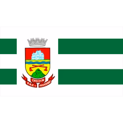 Bandeira de Erechim