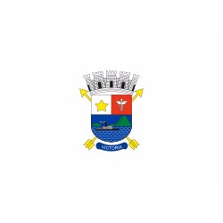 SEO em Vitória - ES