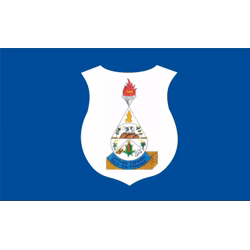 Bandeira de Barra de São Francisco