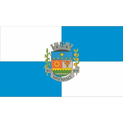 Bandeira de Nova Iguaçu